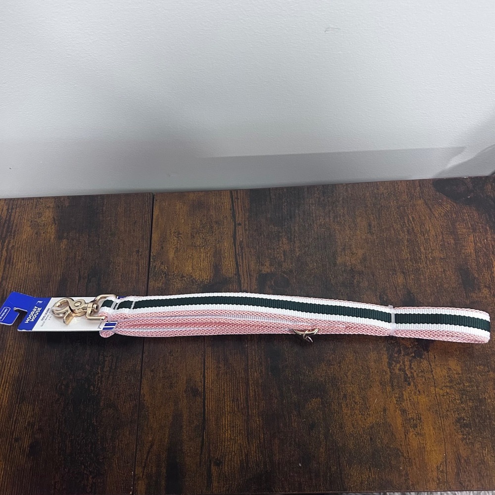 Hooray House Pink Green Striped Dog Leash 5ft Gold Metal Claw Clip NWT